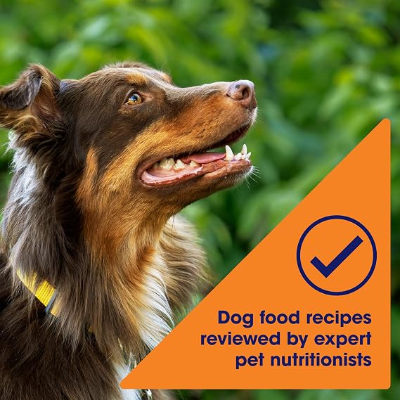 Nature's Recipe Grain Free Chicken Dry Dog Food, 24 lb. Bag