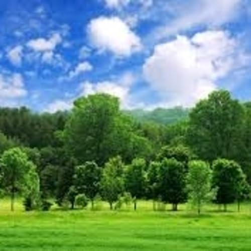 GREENWORLD M4 - //medicalbooks.filipinodoctors.org