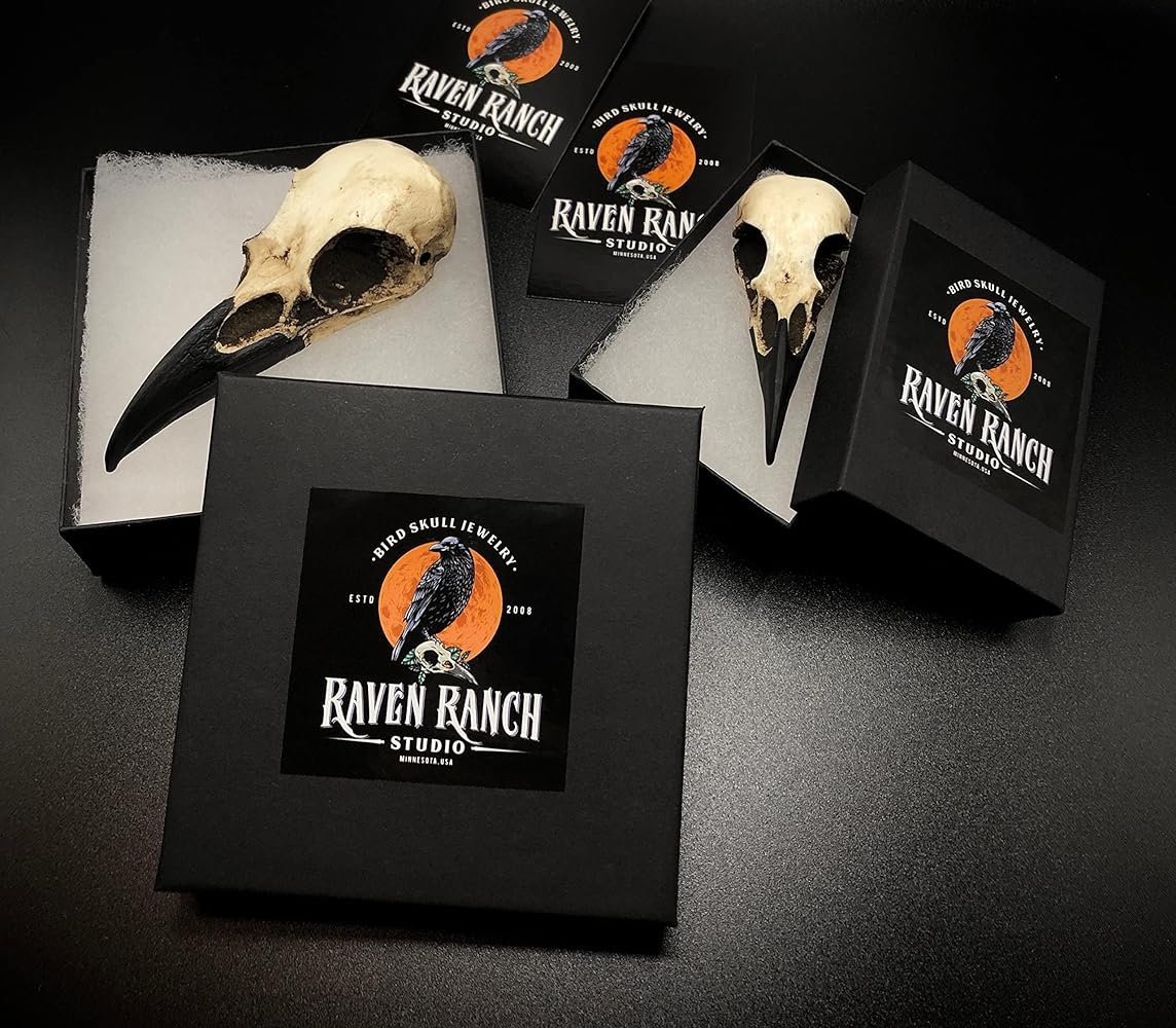 Amazon.com: Raven Skull Hair Clip Gothic Headpiece, Goth Witchy Amazon.com: Raven Skull Hair Clip Gothic Headpiece, Goth Witchy