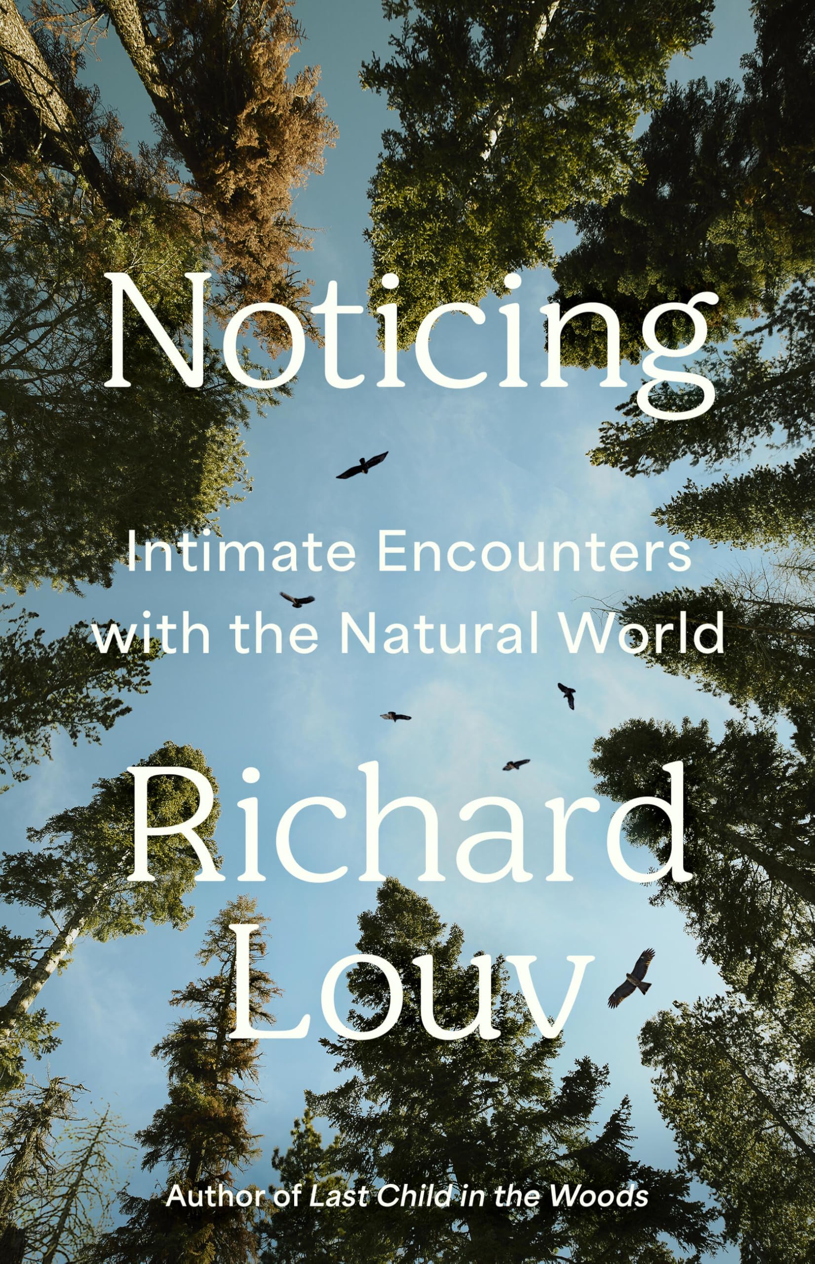 Noticing