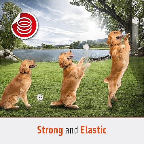 Miniatura 4 de FOFOS Pelotas para perros, juguetes para masticar, pelota de tenis para masticadores agresivos, juguetes molares de dentición, juguete acuático,