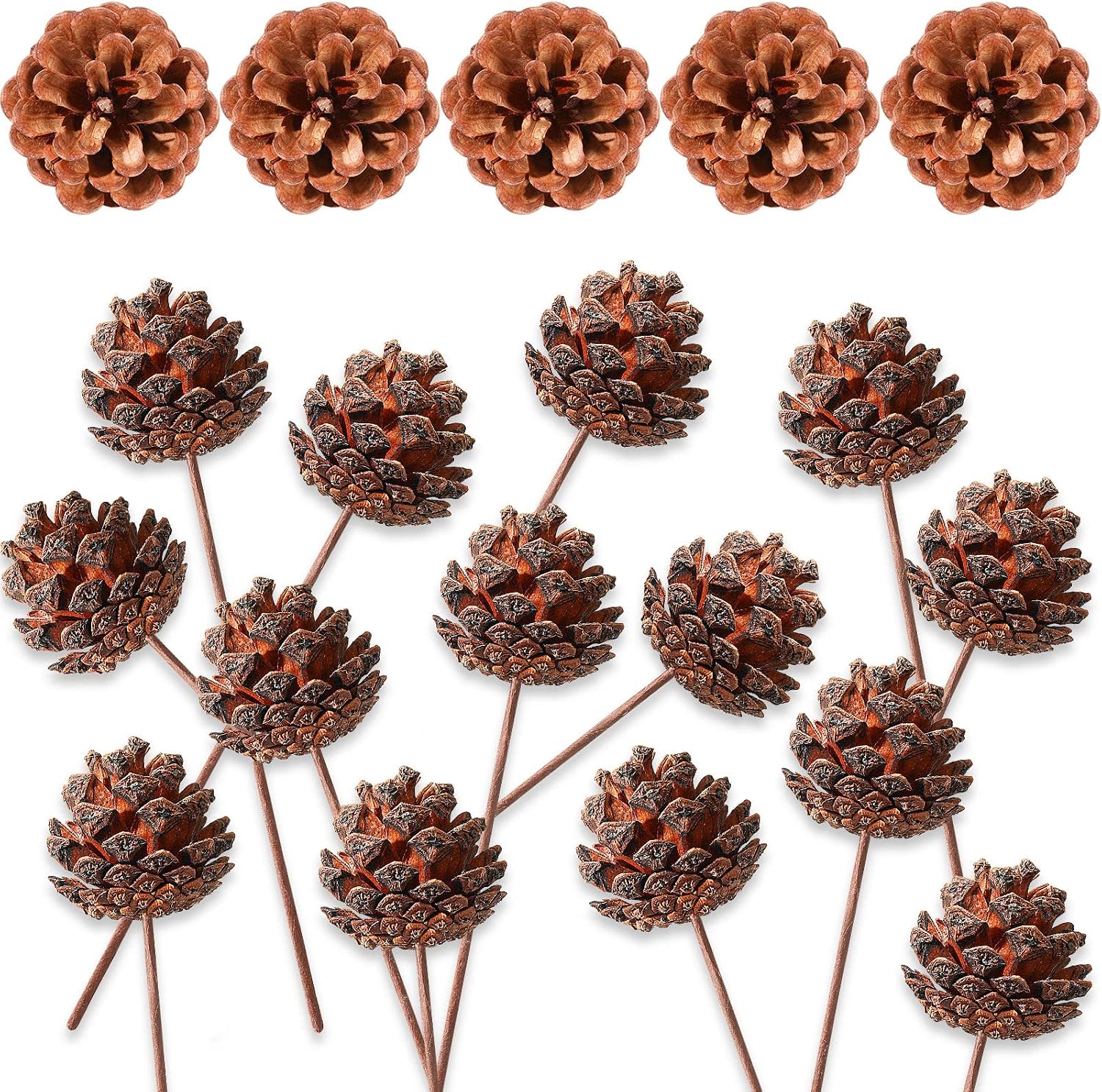 24 Pieces Christmas Natural Pine Cones 6.3 x 1.8 Inch Pinecone Picks Rustic Mini Pine Cones with Floral Pick Pine Cones Decorations for Party Decoration Supplies Fall Home Decor Craft