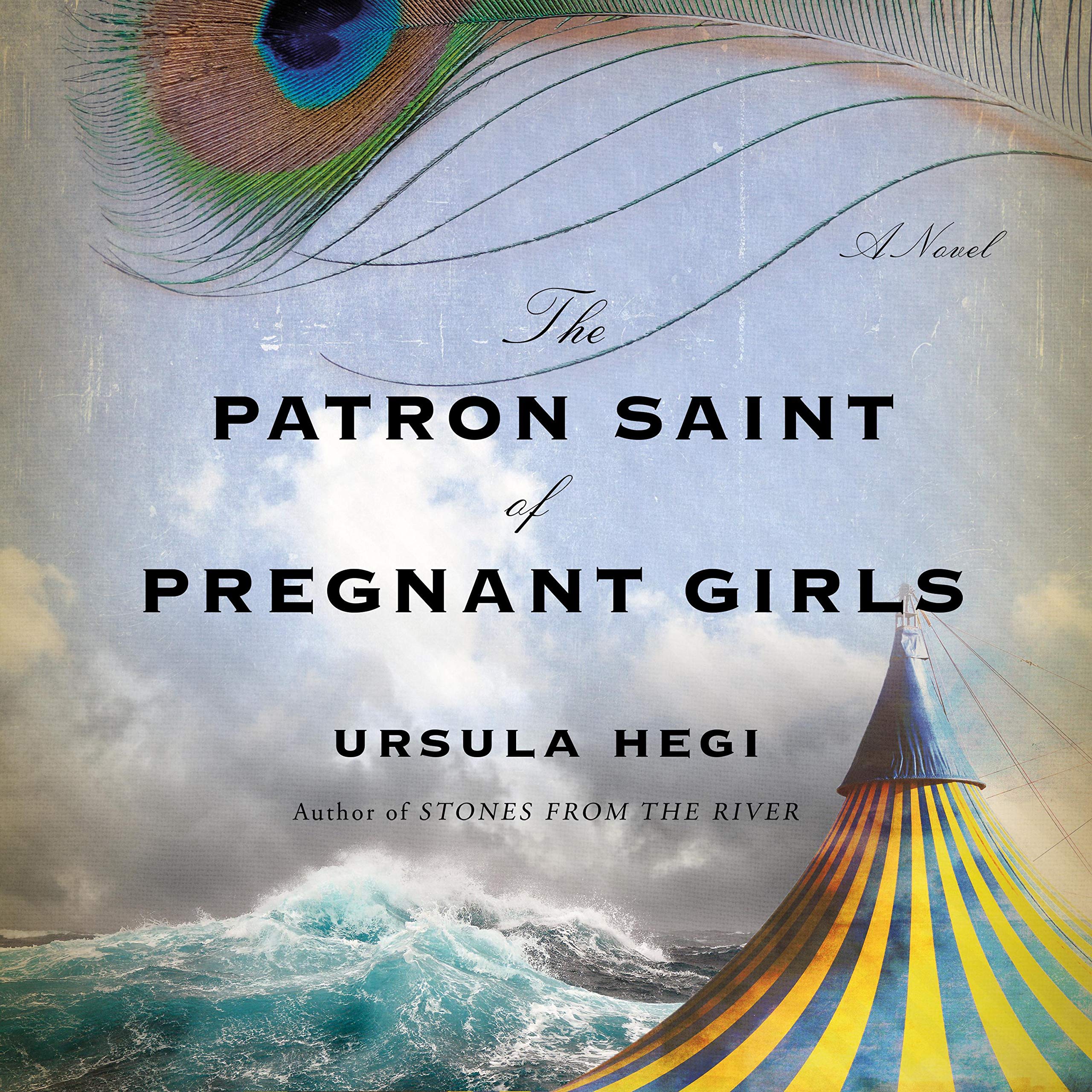 Cover art for The Patron Saint of Pregnant Girls