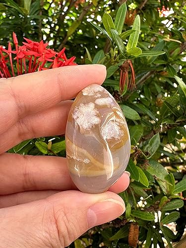 Miniatura 5 de AL POR MAYOR - Piedras pulidas de ágata de flores, piedras preciosas de ágata pulida, cristales curativos de ágata floral (ágata floral, 1 libra),