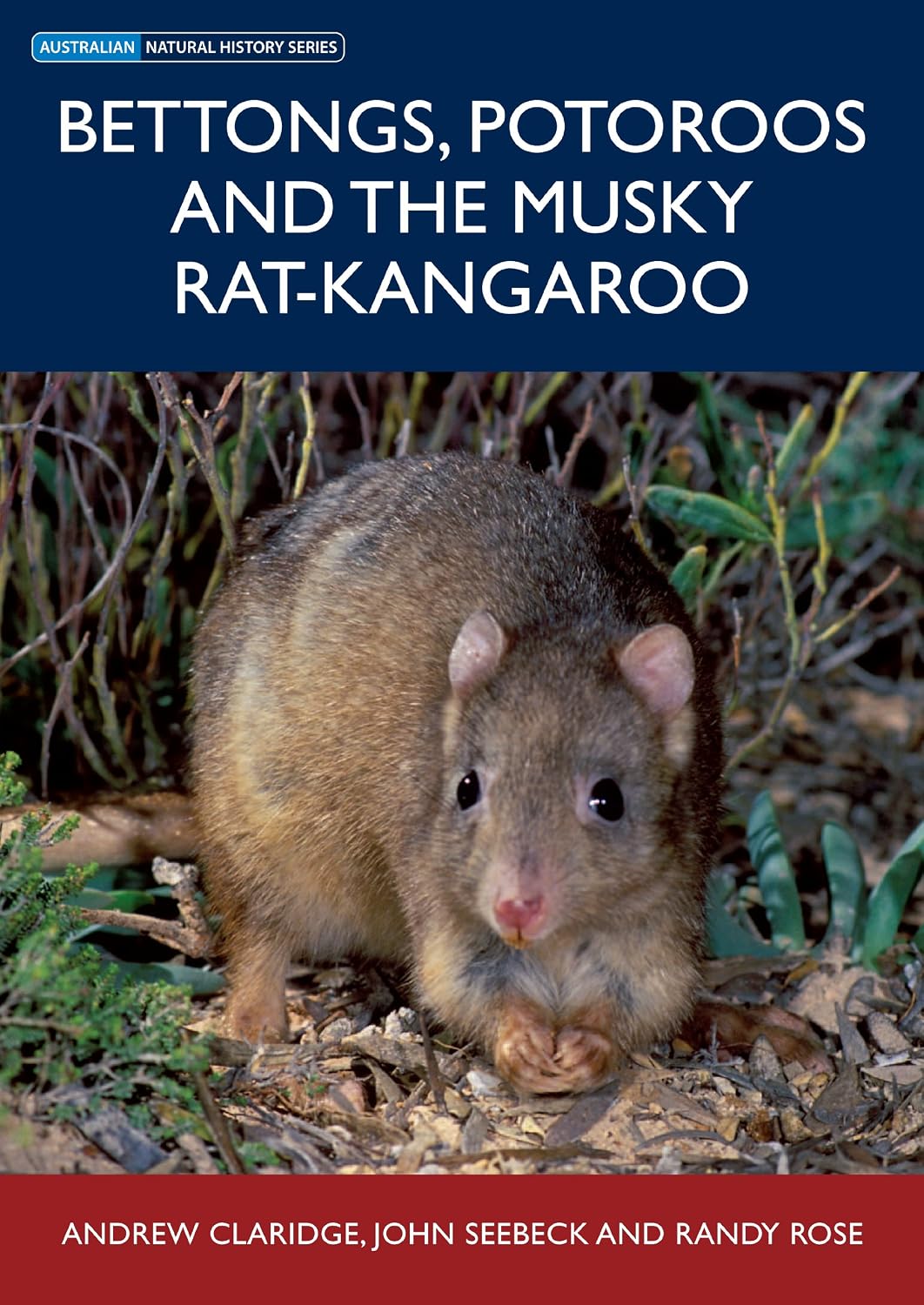 Bettongs, Potoroos and the Musky Rat-kangaroo (Australian Natural History Series)