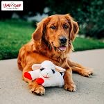 MultiPet MU48375 Plush Dog Toy, Lambchop, 10'', White