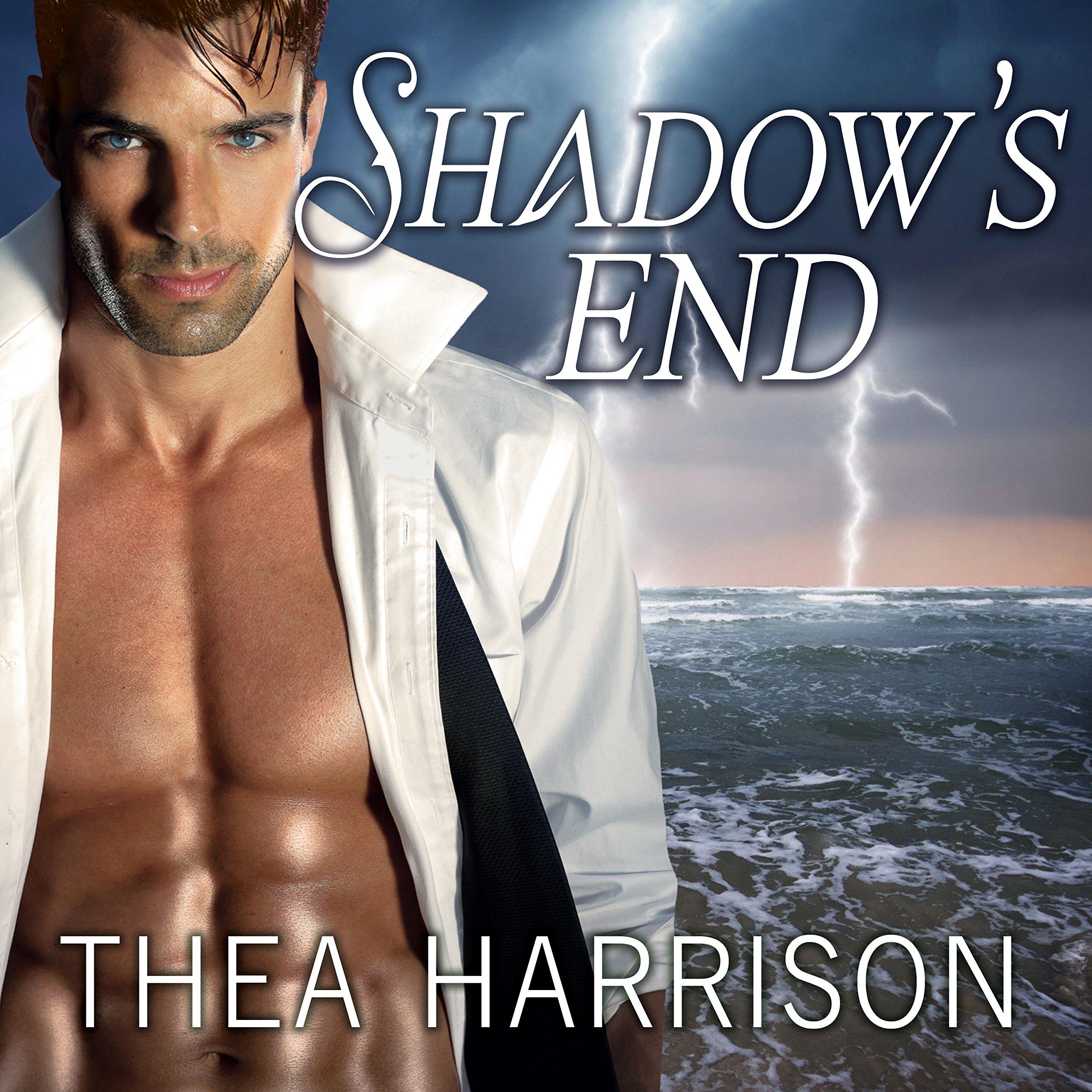 Cover art for Shadow's End