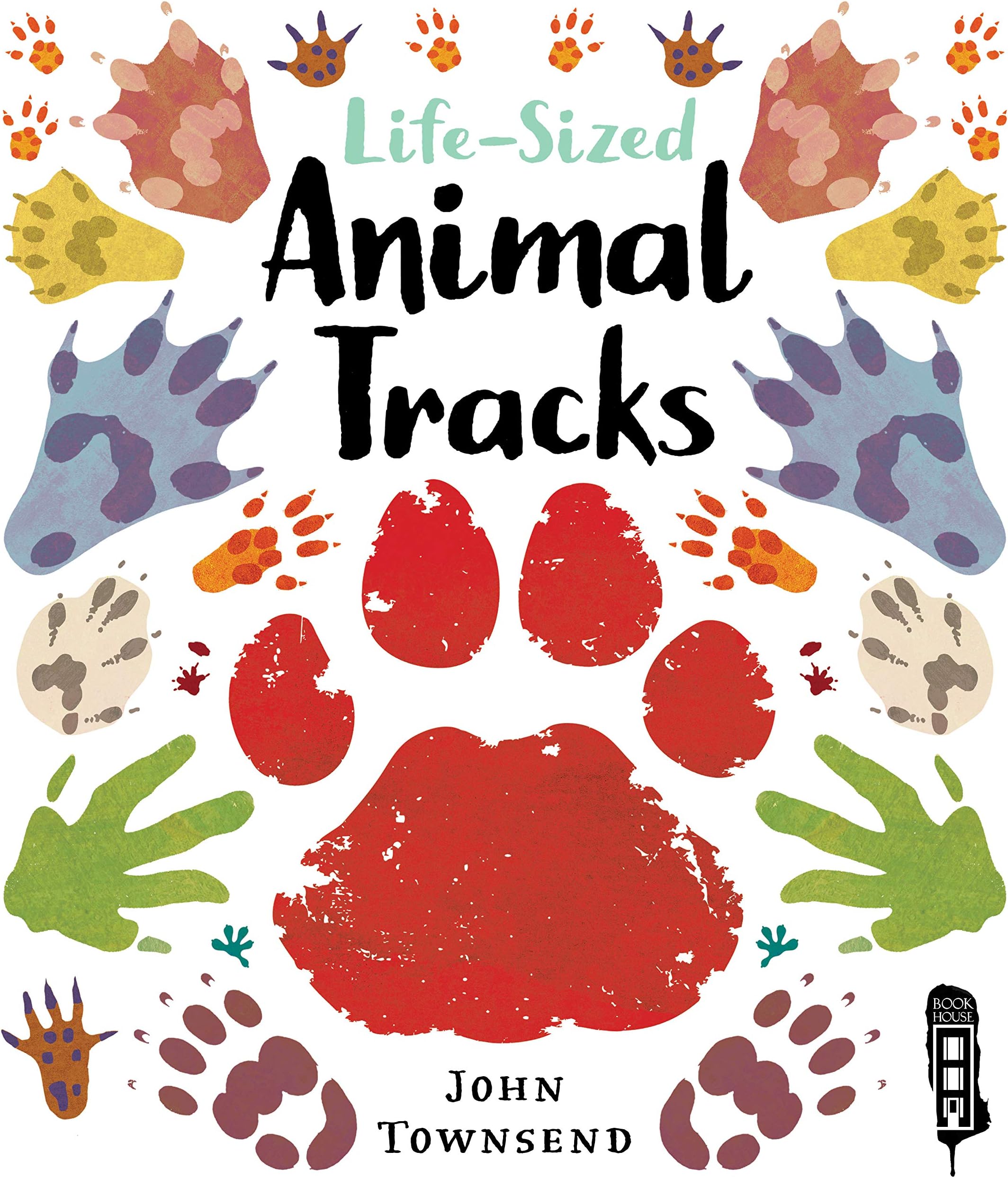 Life-Sized Animal Tracks