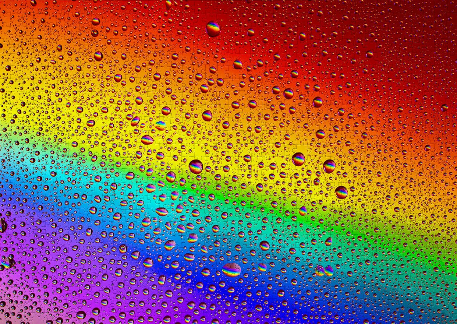 1000 Pieces Jigsaw Puzzle for Adults – Matte Finish, Soft Touch, Easy to Assemble, Tight Fit, Vivid Colors, Missing Pieces Service – Multicolor Rain Drops Over Gradient Rainbow by ENJOY Puzzle