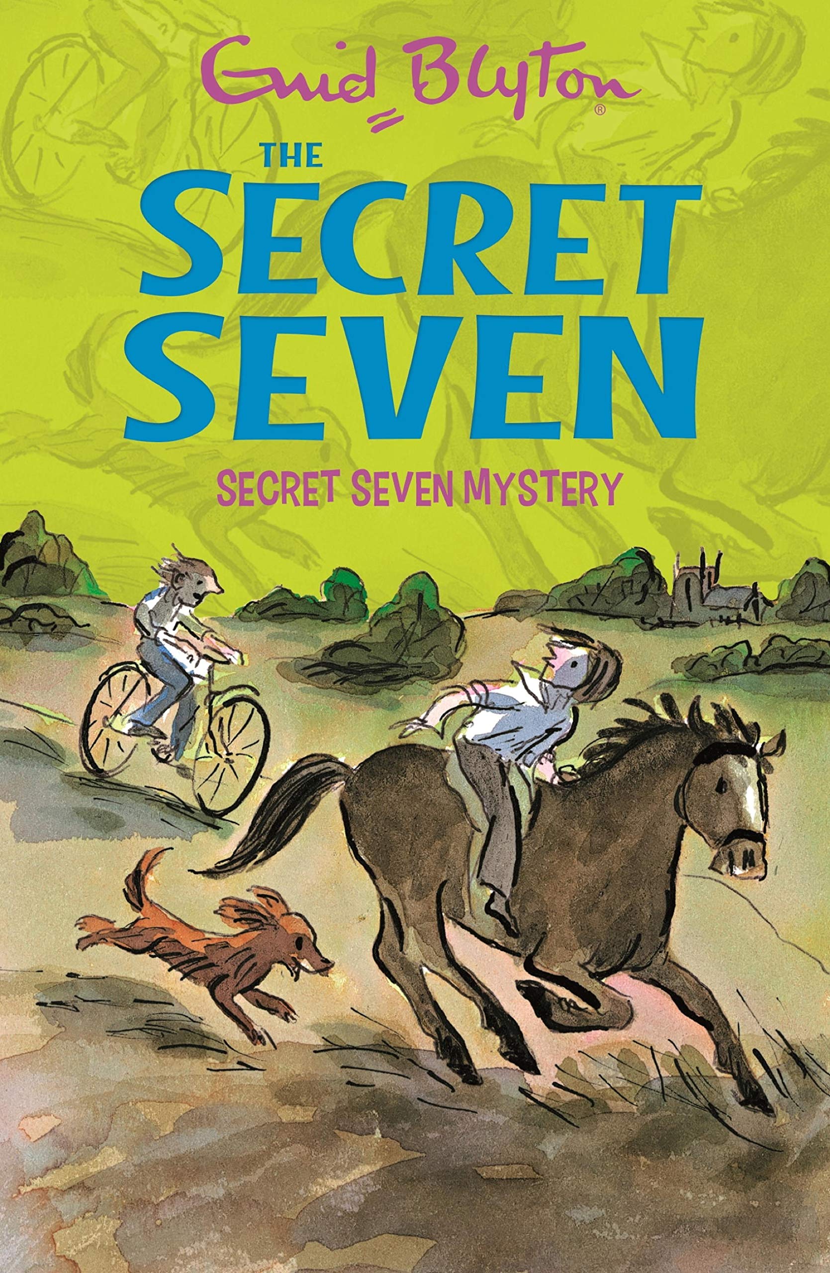 Secret Seven Mystery: Book 9