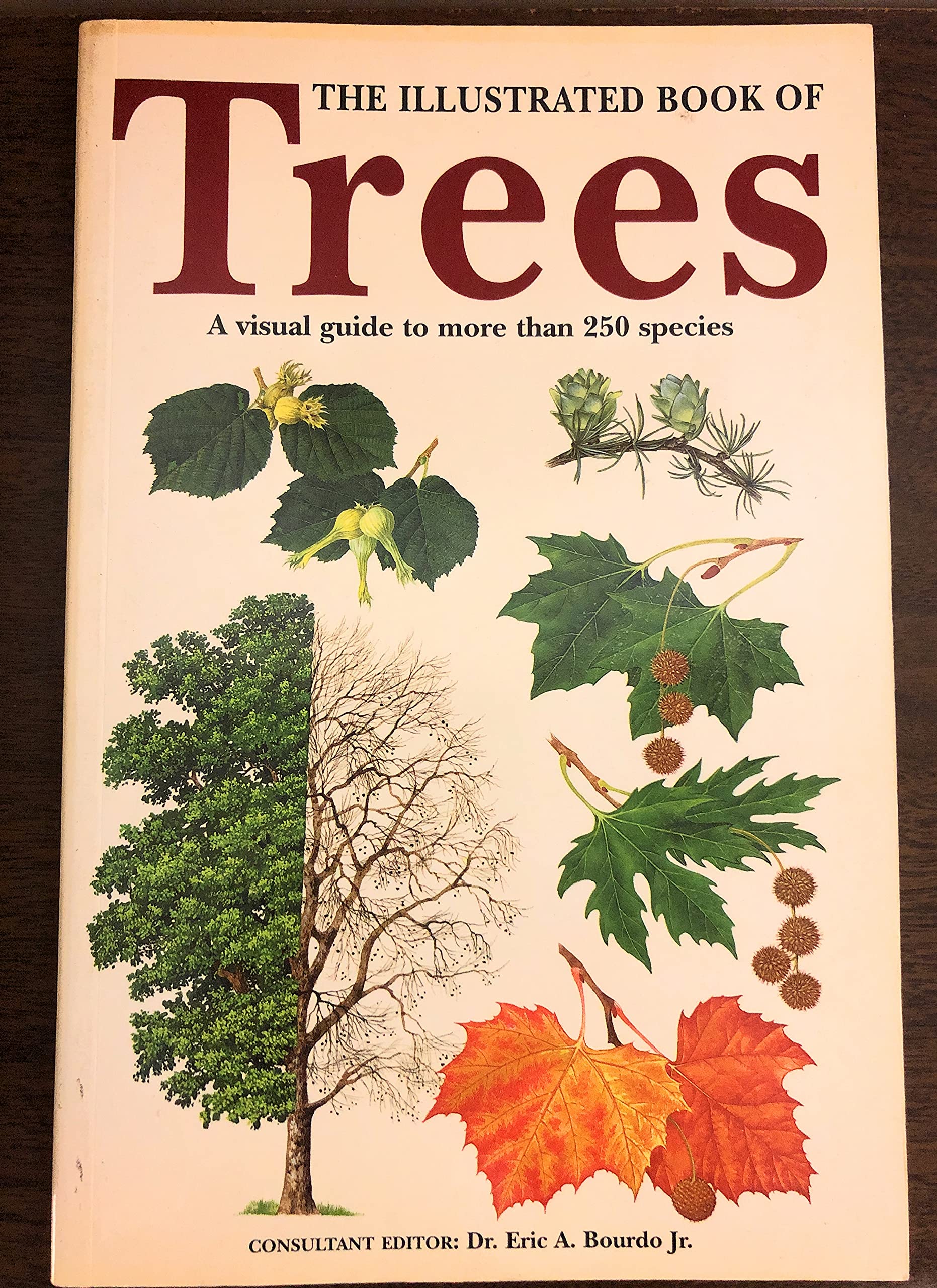 Buy Illustrated Book Of Trees — BookShops.in