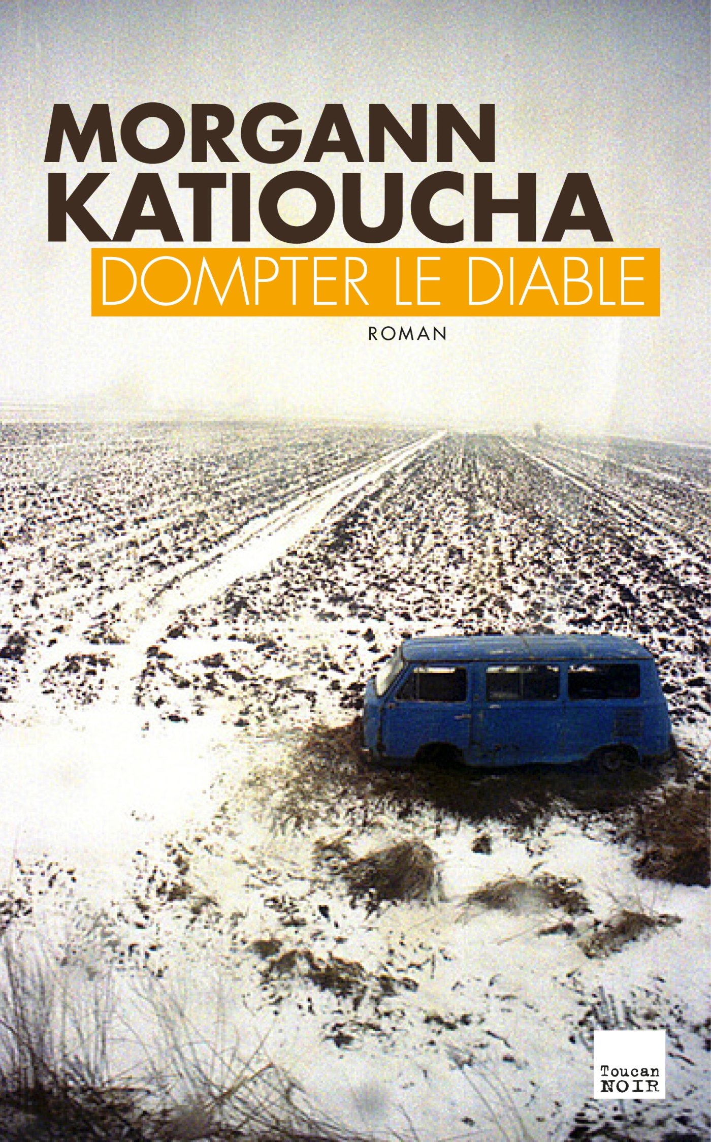 Dompter le diable (French Edition)