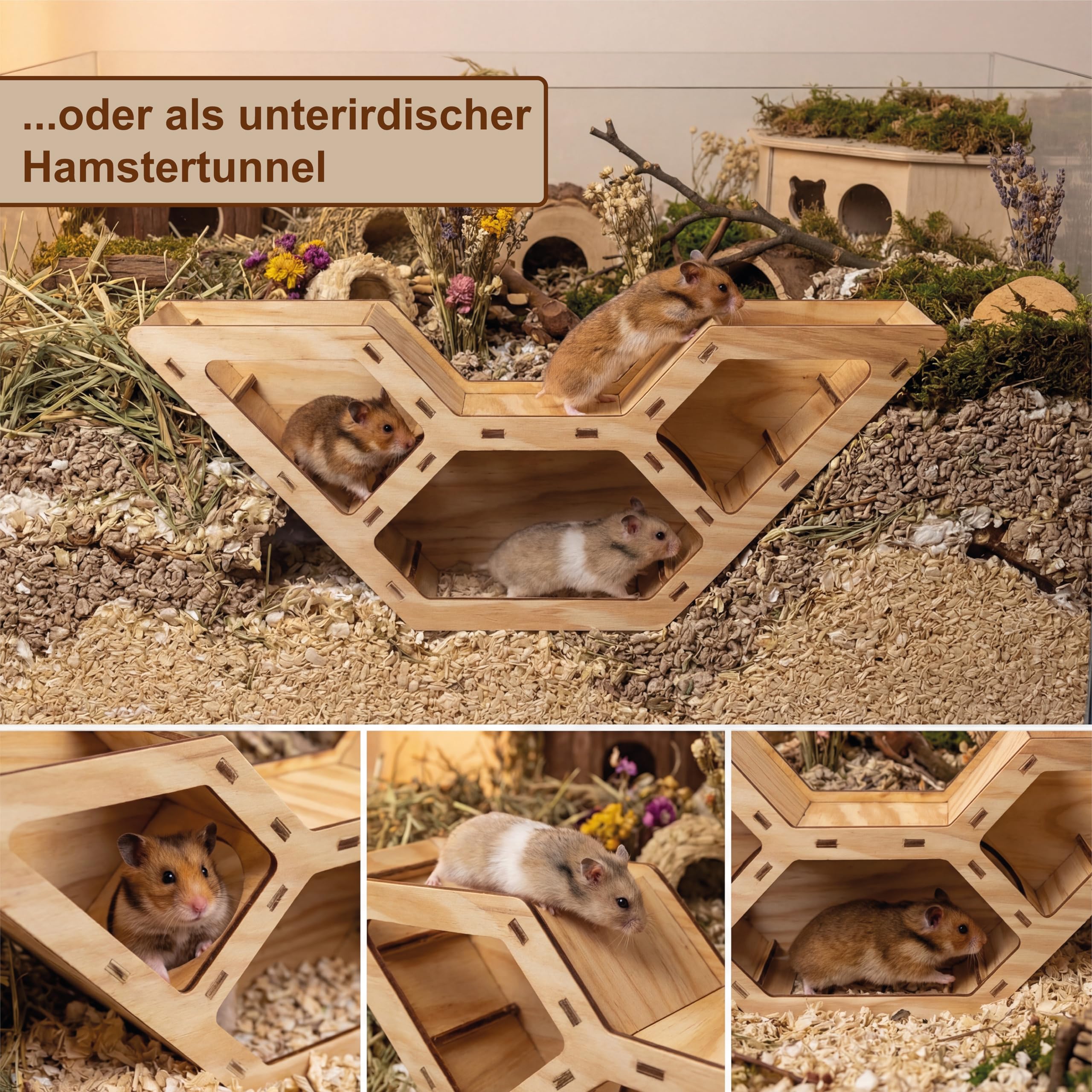 Hamstertunnel & Hamsterhaus aus Holz – DIY Watchbox zum Beobachten – Buddeltunnel & Versteckhaus für Zwerghamster & Rennmäuse – stabil, splitterfrei & einfach zu montieren
