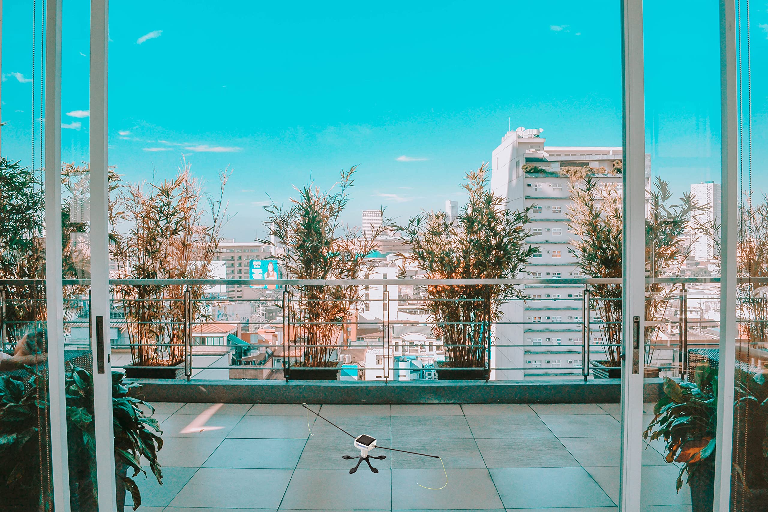 Básico – ahuyentador de pájaros solar para balcones y jardín – Gekko Standfuß – Ahuyentador de pájaros – ahuyentador de pájaros – ahuyentador de pájaros – Ahuyentador de palomas