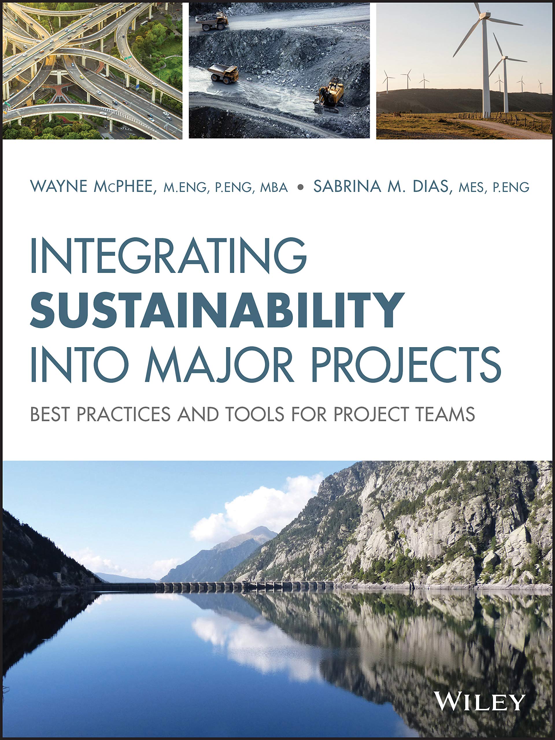Buy Integrating Sustainability Into Major Projects: Best Practices and Tools for Project Teams — BookShops.in