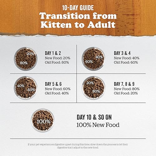 Miniatura 2 de Bundle of Now Fresh - Alimento para gatitos sin granos, 3 libras, receta de comida seca para gatos + alimento para gatos ahora fresco sin granos, 16