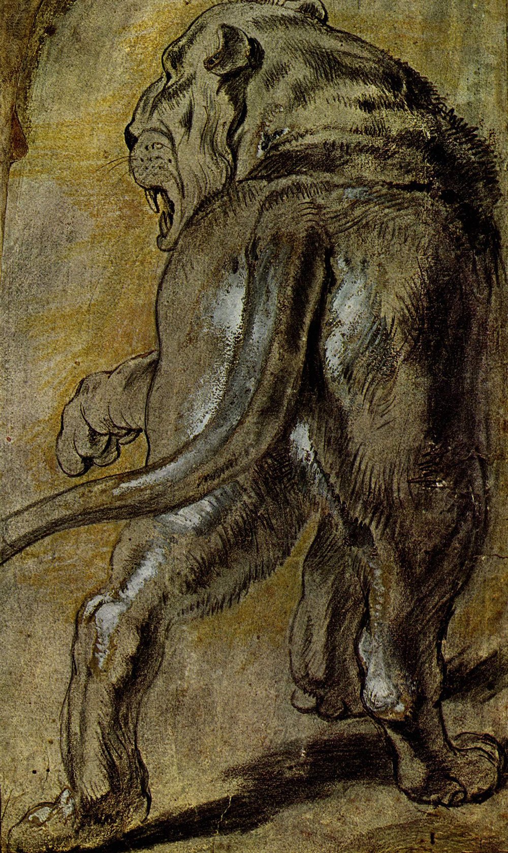 Tableau Rubens Le Lion grand format affiche mate avec cadre noir