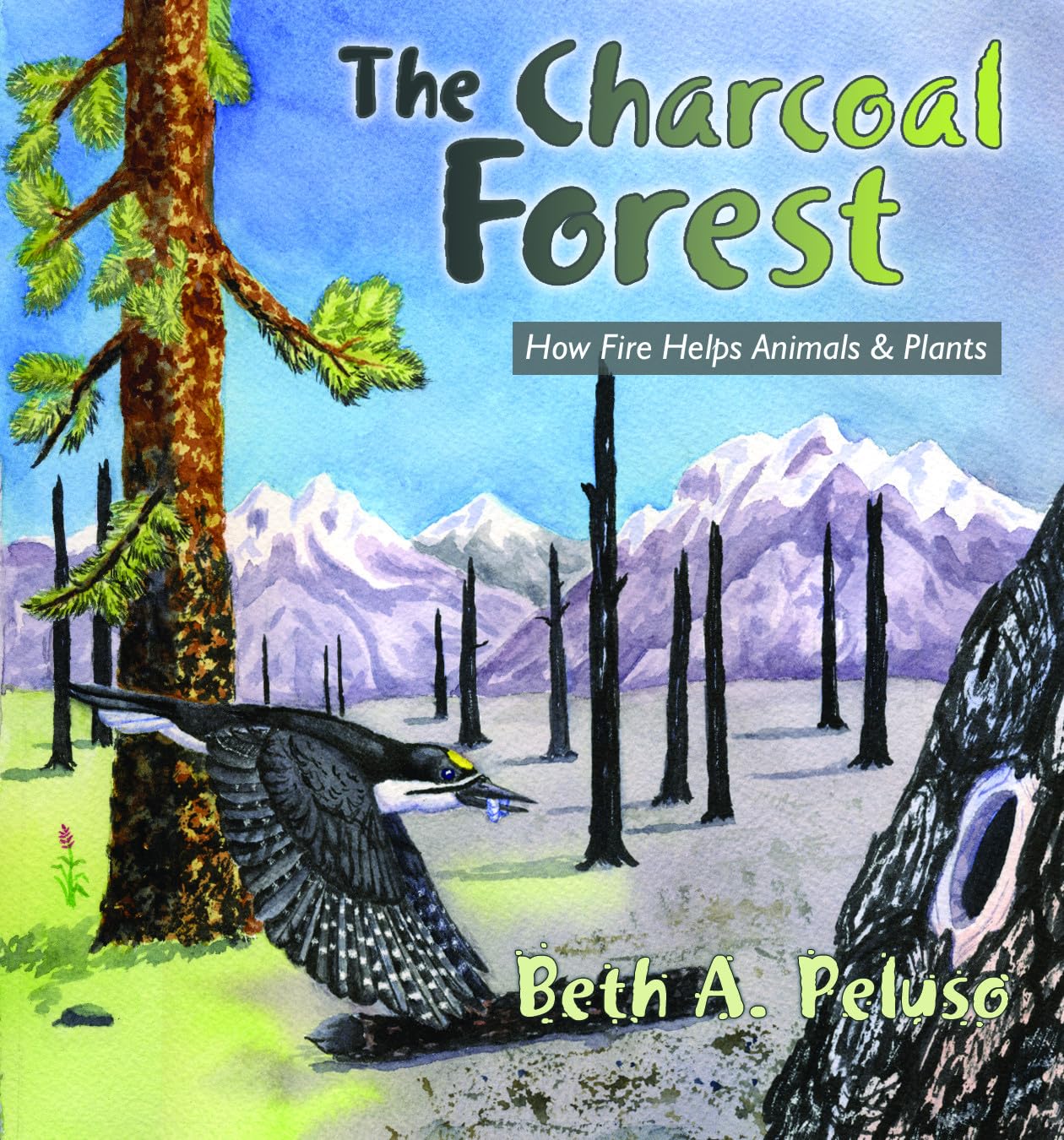 Charcoal Forest, the: How Fire Helps Animals and Plants