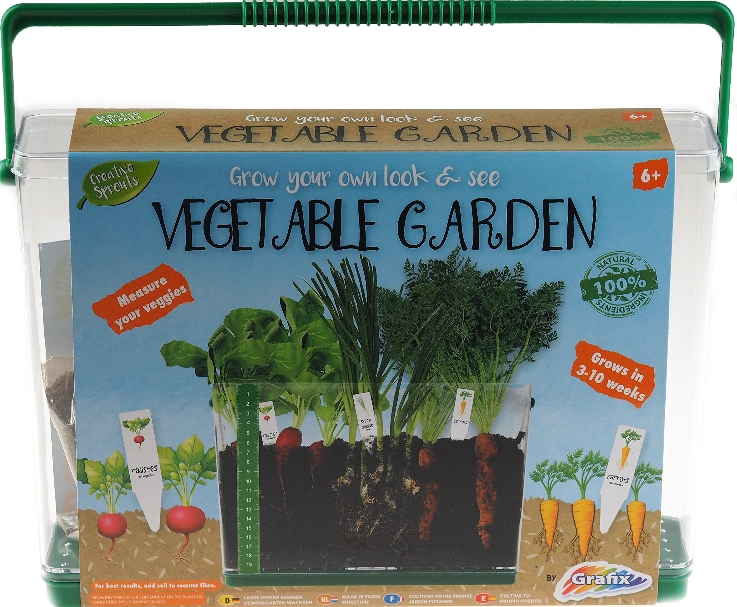 Grow Your Own Vegetable Garden