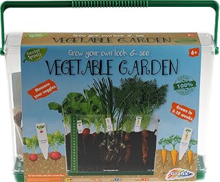 Creative Sprouts Grow Your Own Vegetable Garden