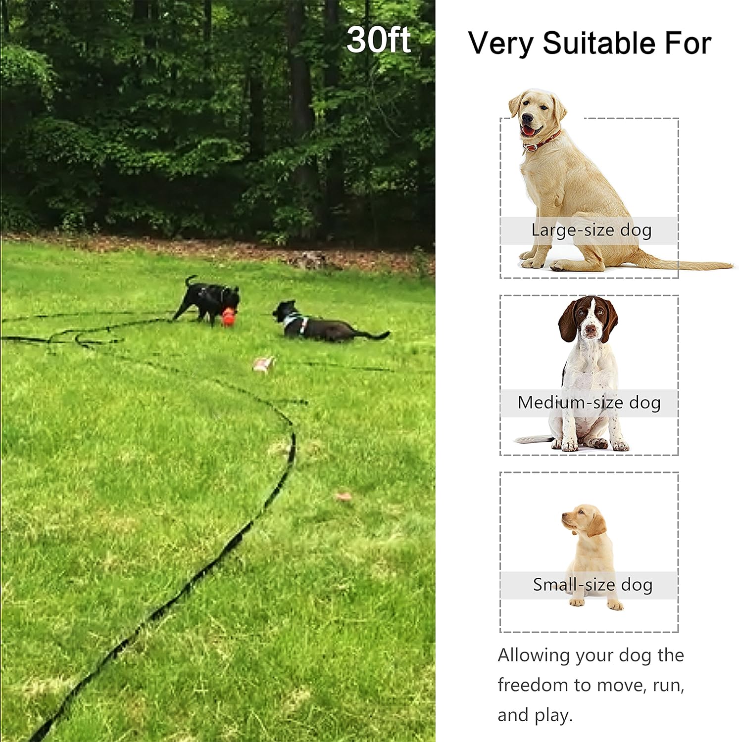 Backyard dog lead Clearance