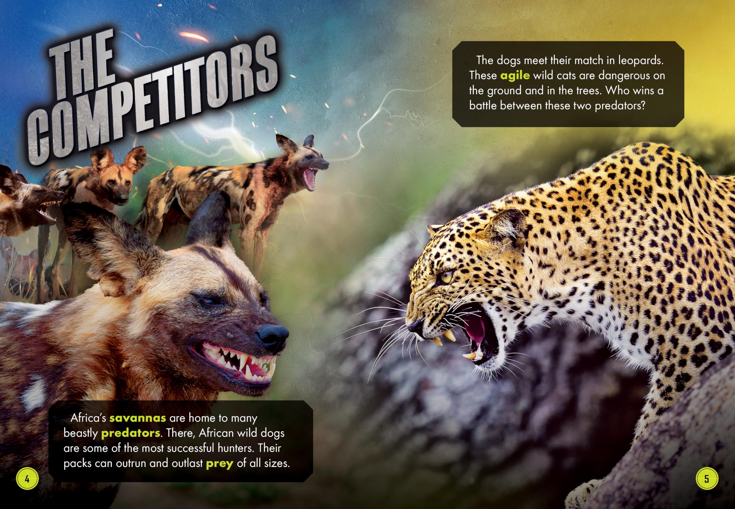 African Wild Dog Pack vs. Leopard