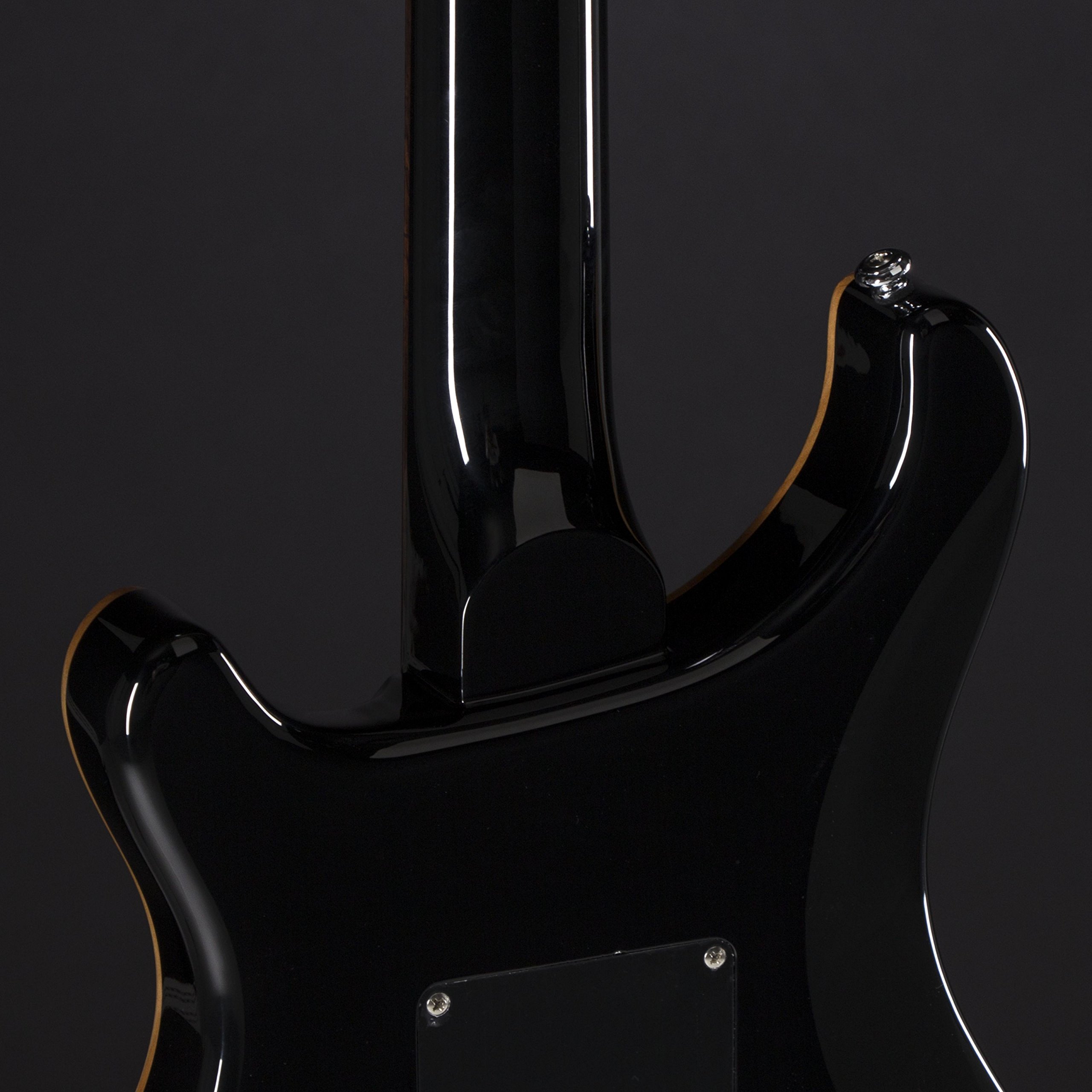 Amazon.com: PRS Paul Reed Smith SE Custom 24 Floyd Rose Electric