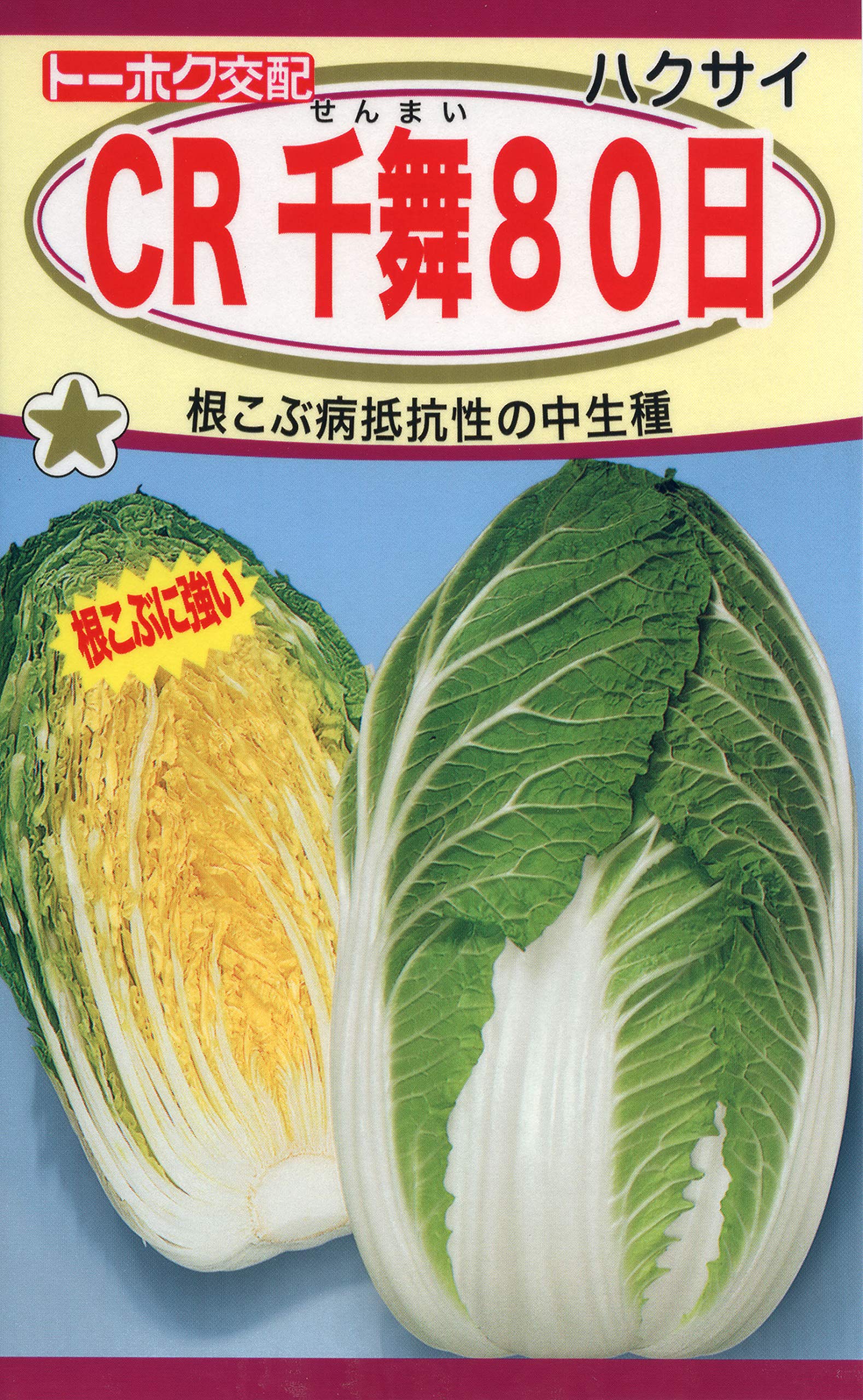 白菜 Amazon | 株式会社トーホク 白菜 CR千舞80日 07260 | 野菜