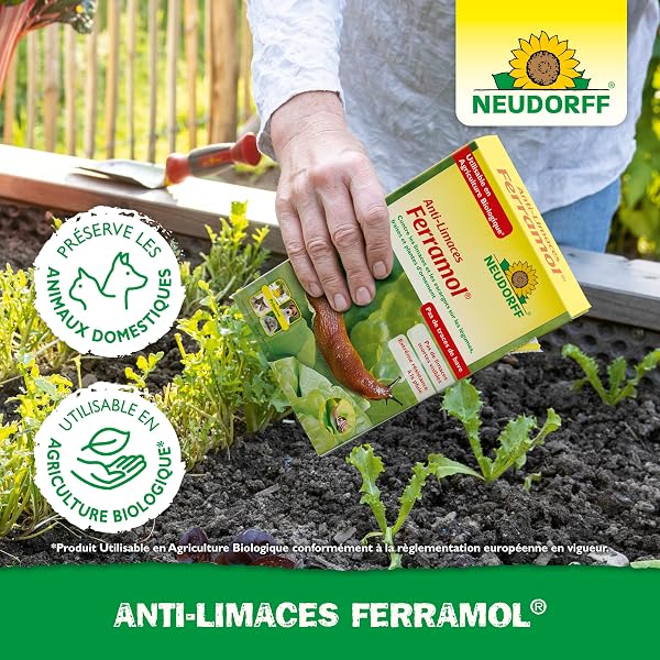 Neudorff Anti-Limaces Ferramol – Contre Les limaces et Les escargots sur Les légumes, Fraises et Plantes d’Ornement. Pellets pour 200 m², 1 kg - 5
