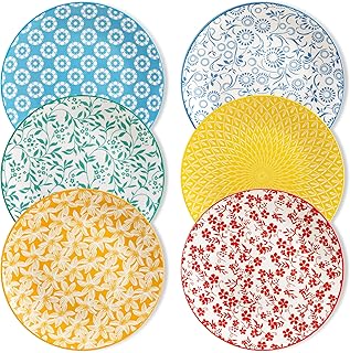 vancasso Ceramic Dinner Plates Set of 6, Large Vintage Plates 10.25 Inch...