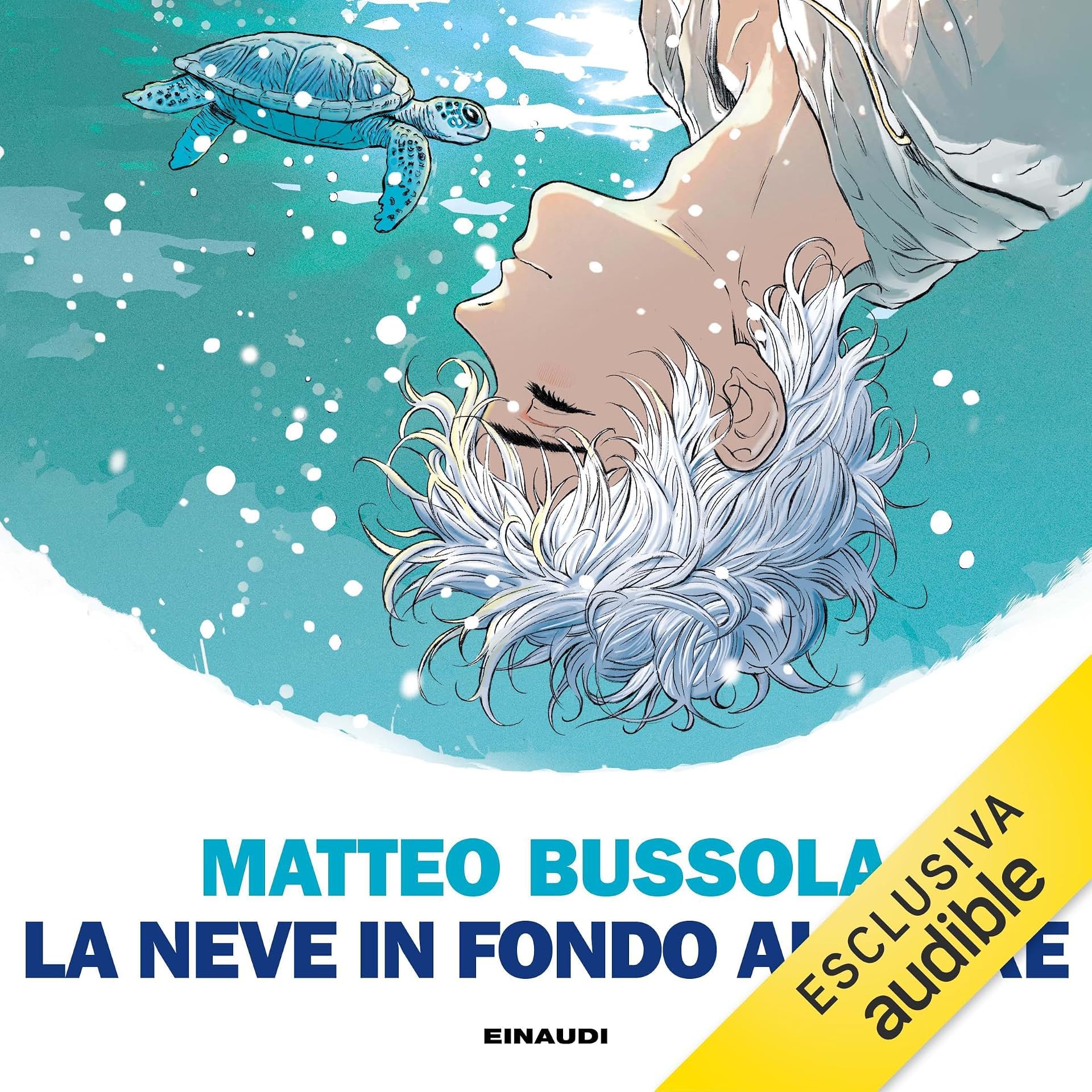cover-image