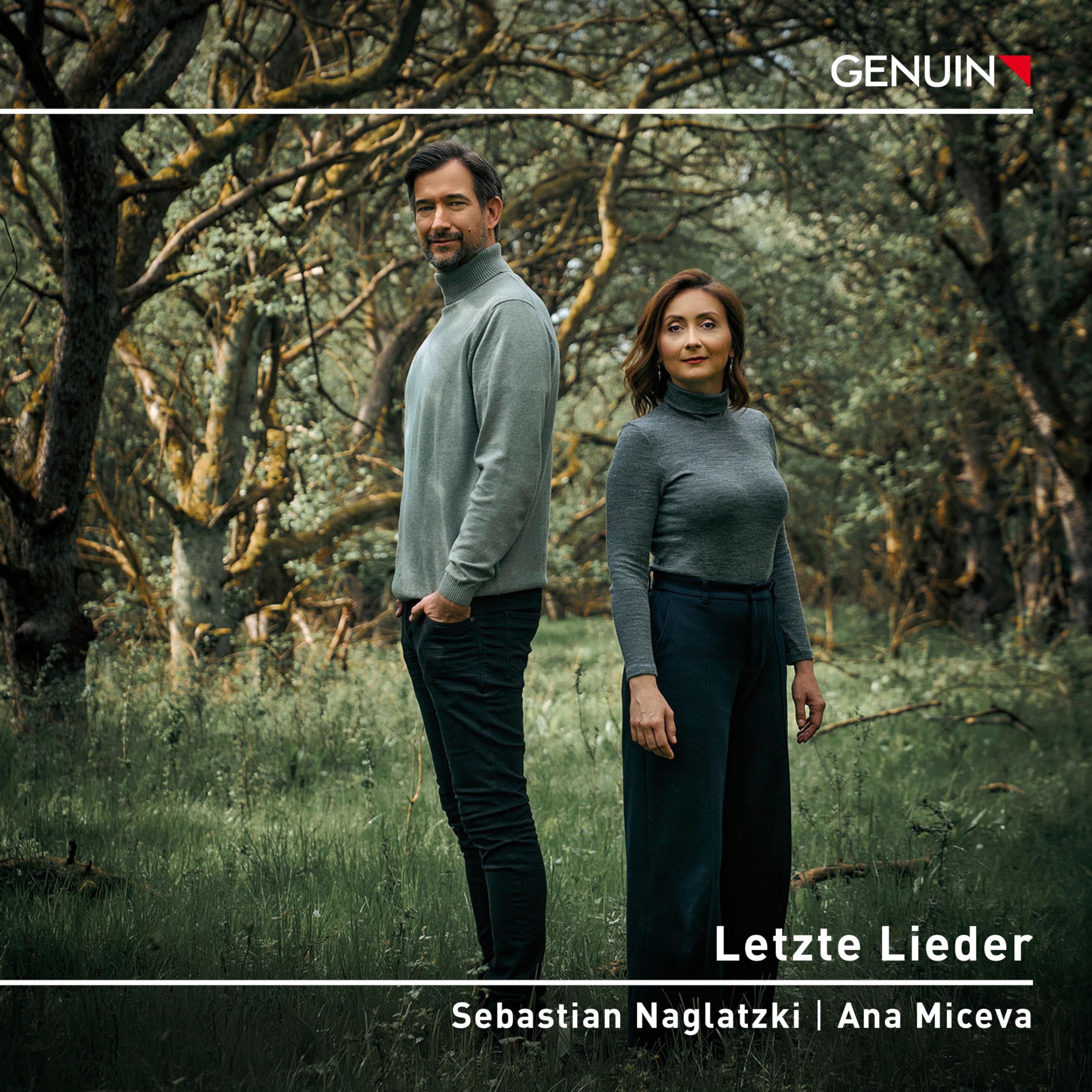 Letzte Lieder (Last Songs)