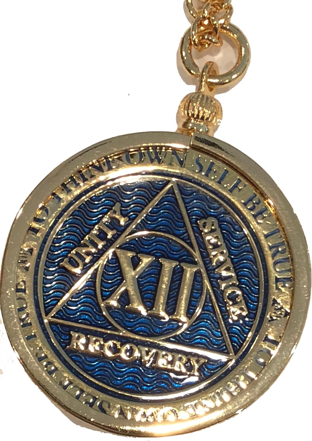 Amazon.com: RecoveryChip Reflex or 
