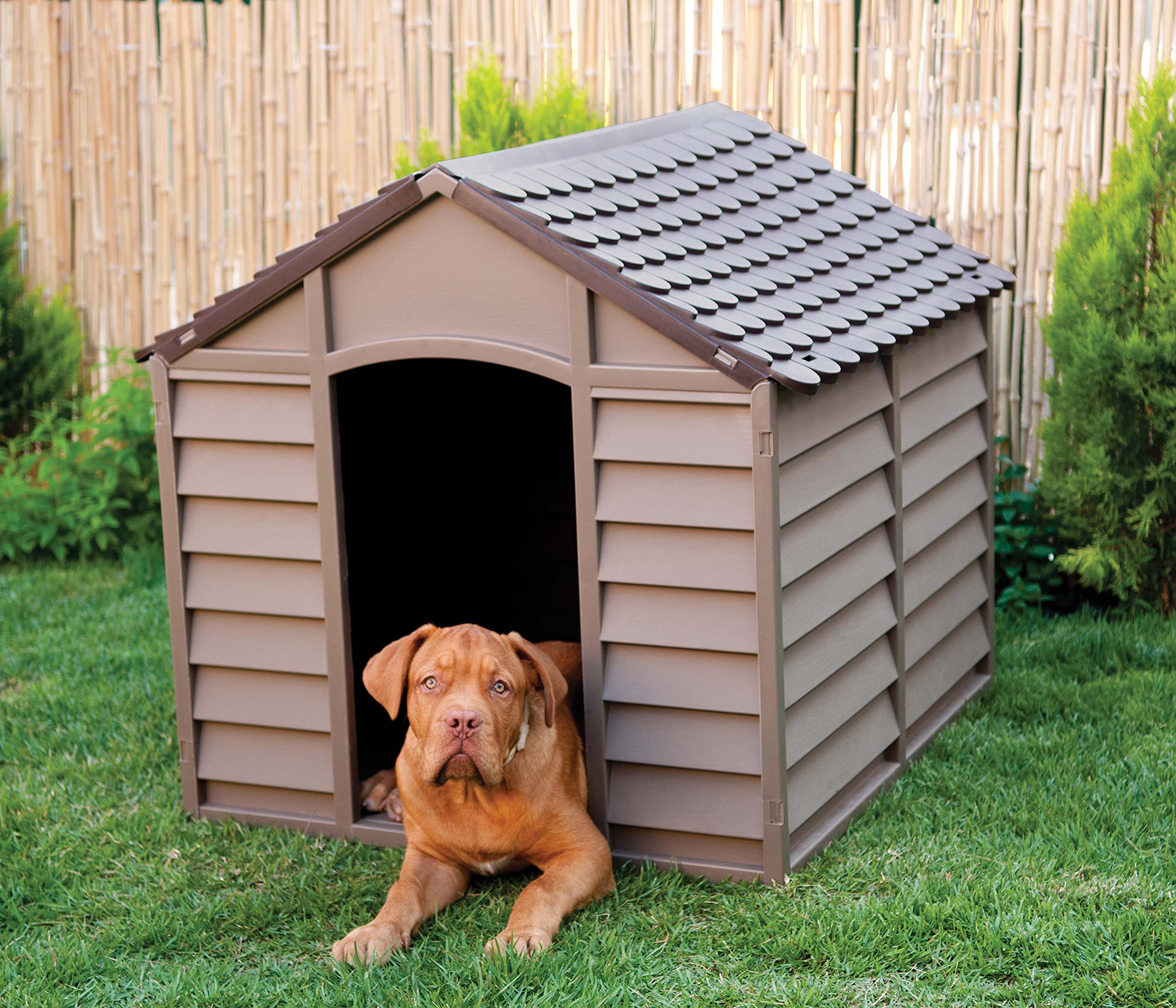 Vigor Cuccia per Cani Dog Kennel