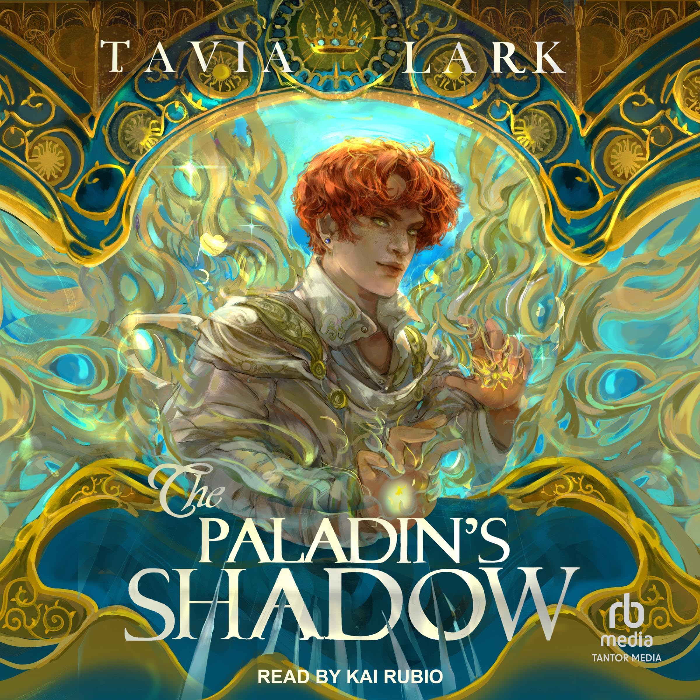 Cover art for The Paladin's Shadow