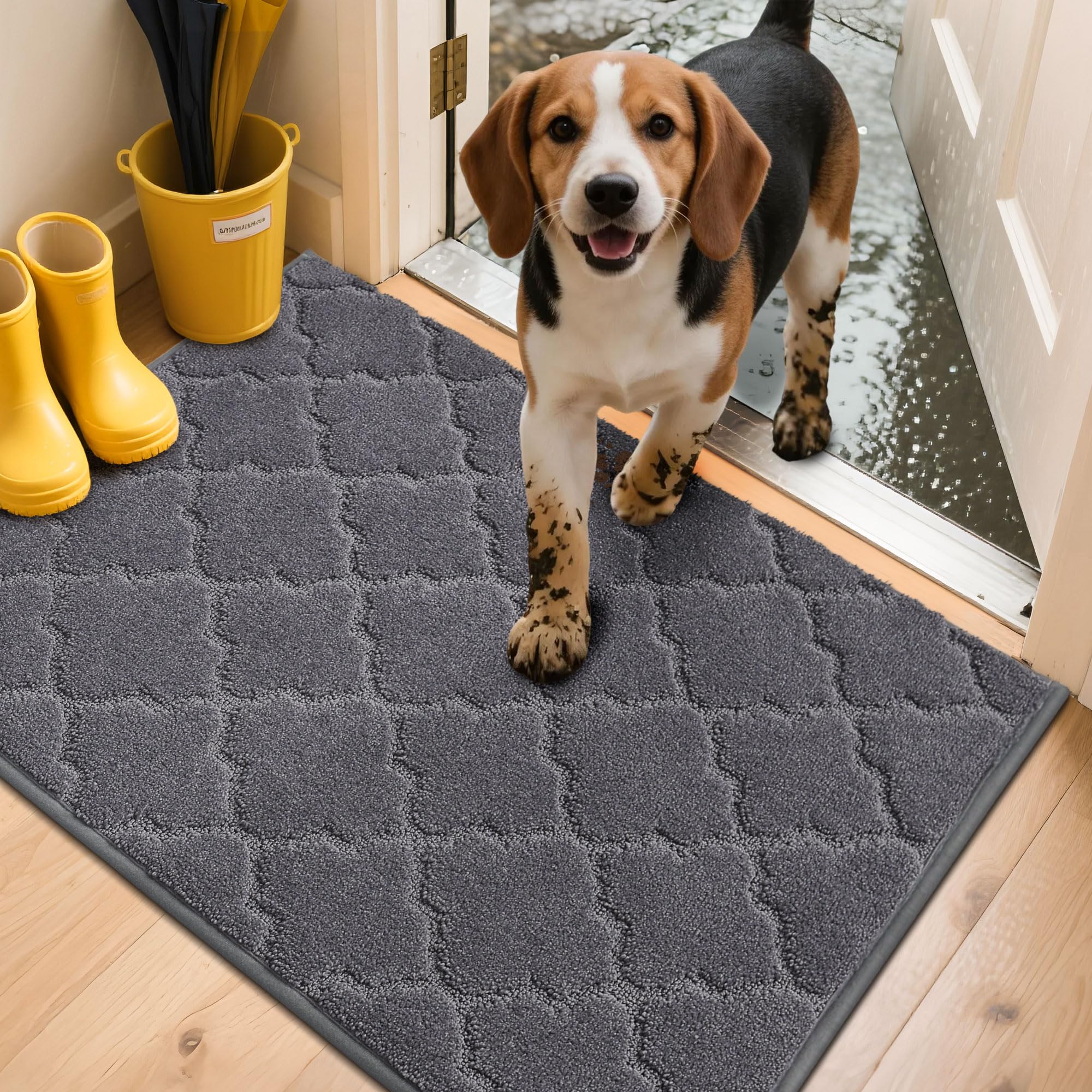 COSY HOMEER Fussmatte Innen 60 x 90 cm, Schmutzfangmatte Waschbar 1,5 cm Dicke, Eingangsteppich Sauberlaufmatte Hundeteppich Maschinenwaschbar für Flur, Küche, Hintertür, Dunkelgrau