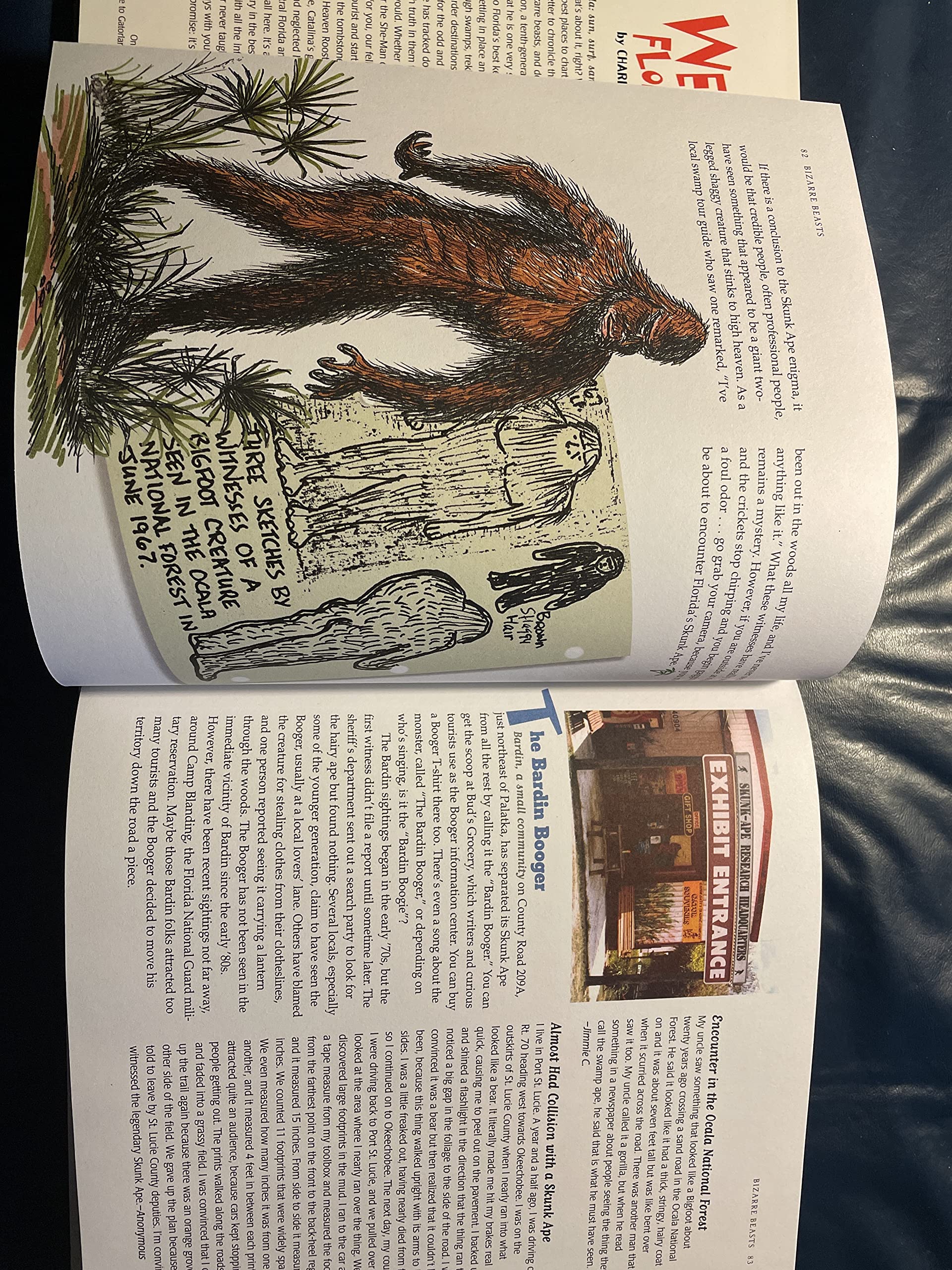 Weird Florida: Your Travel Guide to America's Local Legends And Best Kept Secrets - Image 5