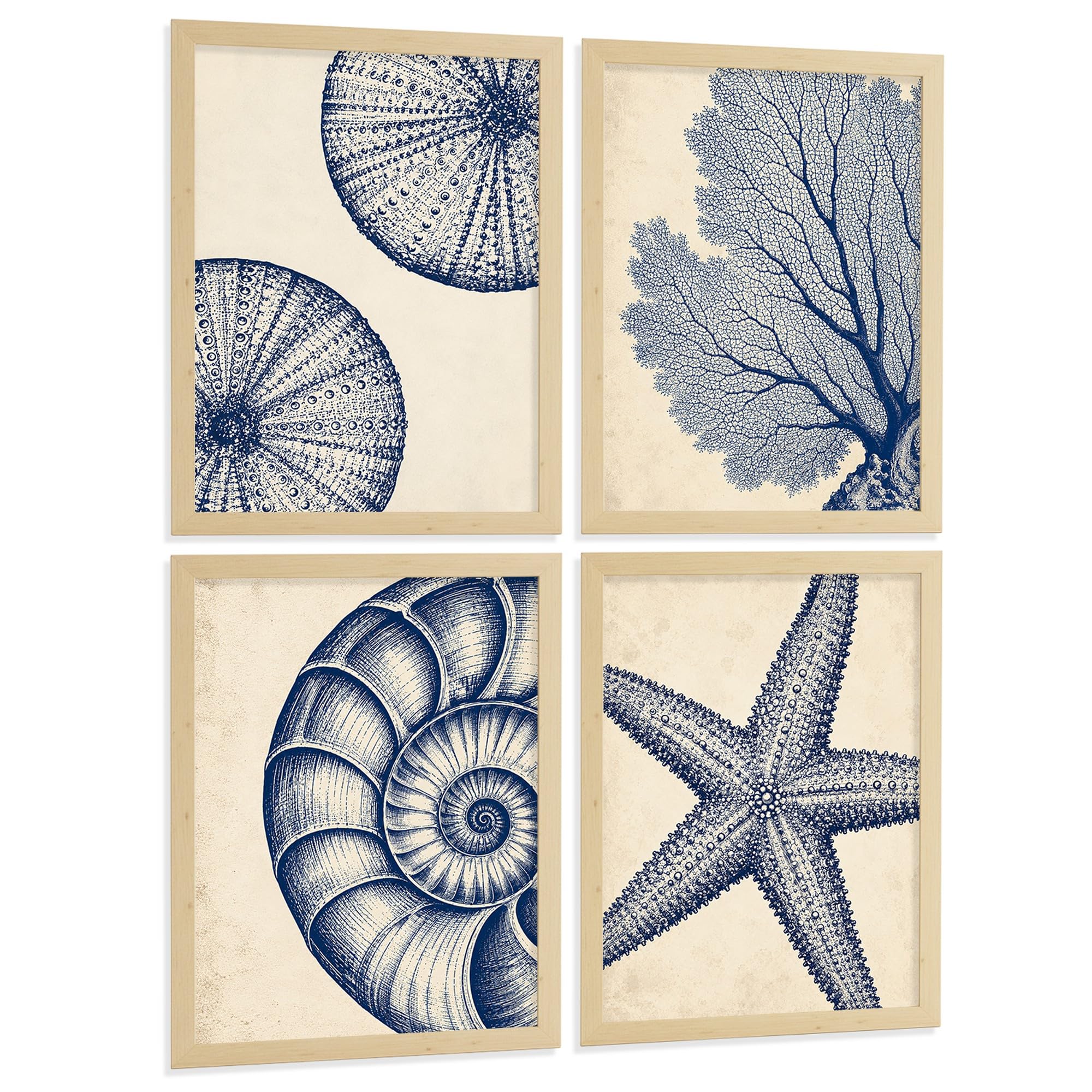 Nacnic Set de 4 Azul Costero con Coral, Nautilus y Estrella de Mar | Set de 4 cuadros con láminas artísticas - Tamaño A3 (29,7 x 42 cm) con marcos madera clara incluidos