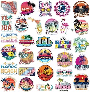 Konohan 30 Pcs Florida Souvenirs Gifts Florida Magnet for Refrigerator City Magnetic Refrigerator Stickers for Home Decora...