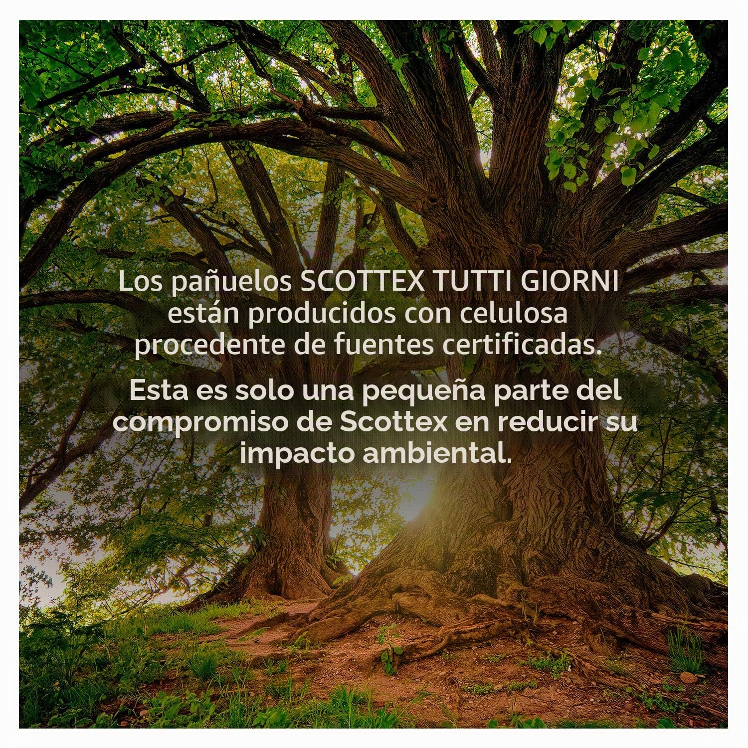 Scottex Todos los días, pañuelos de papel, fabricado en Italia, con papel certificado FSC, 56 paquetes