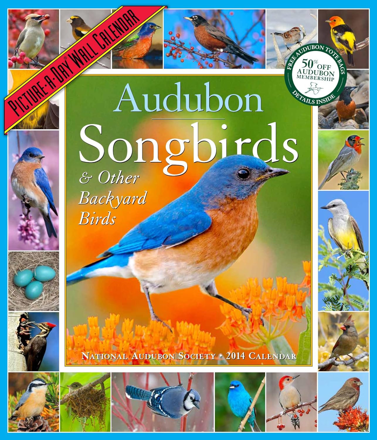 Audubon Songbirds & Other Backyard Birds 2014 Calendar National