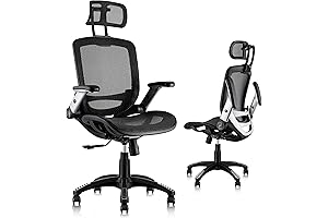 Sayl, the Ergonomic Mesh Office Chair of exceptional Comfort