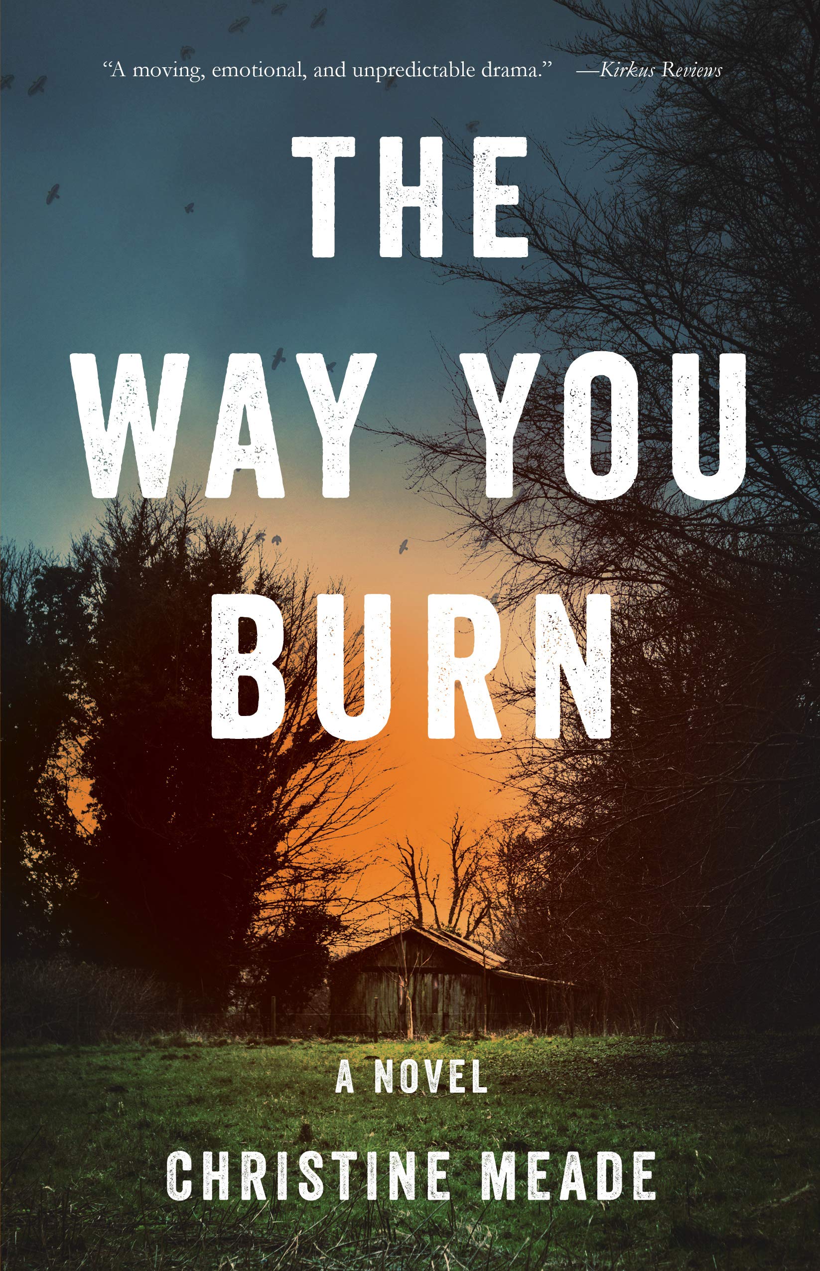 Buy The Way You Burn — BookShops.in