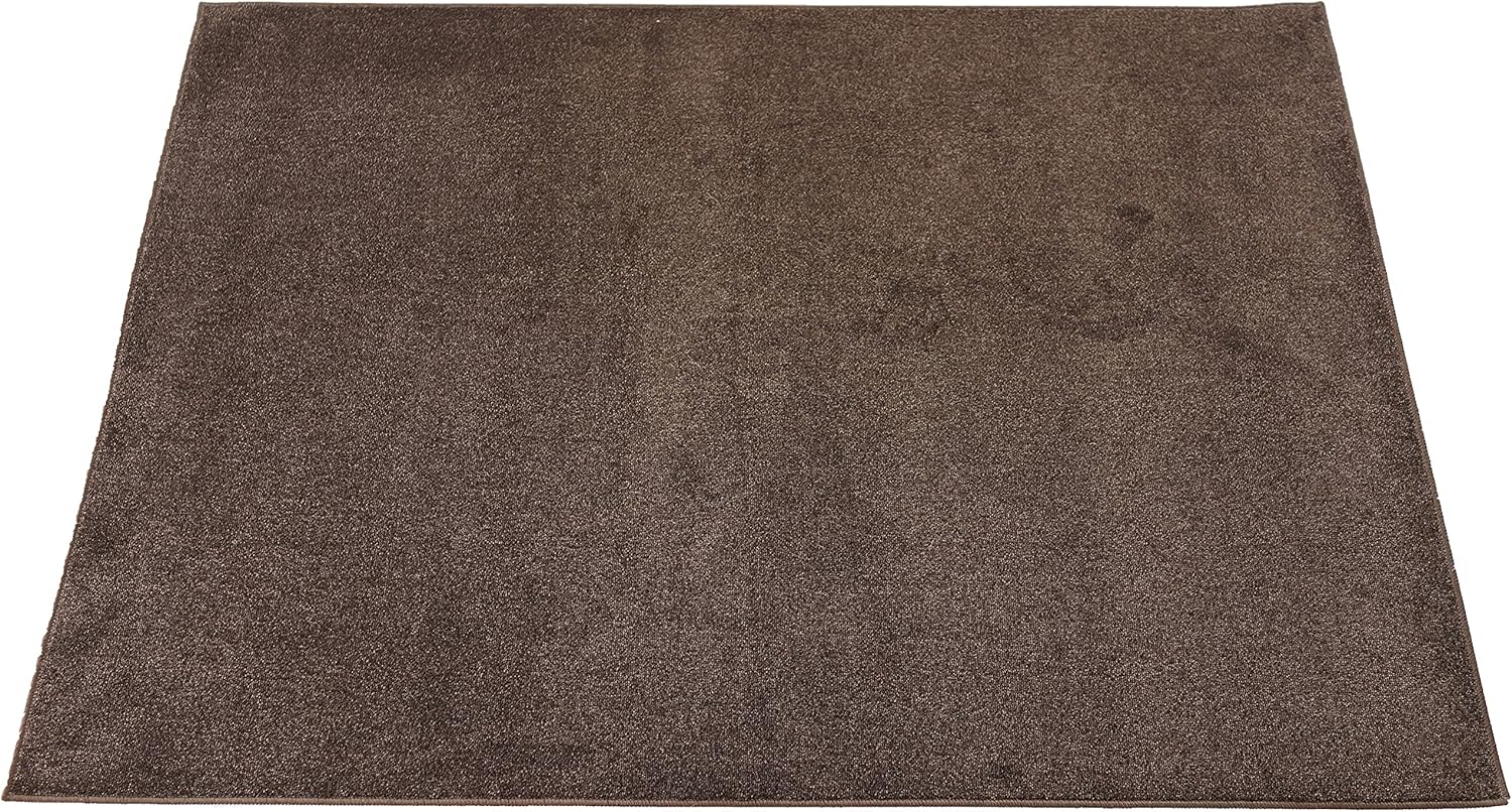 スミノエ(Suminoe) オーダーラグ ダークブラウン 幅290cm ×長さ240cm ECOROA 防炎 消臭