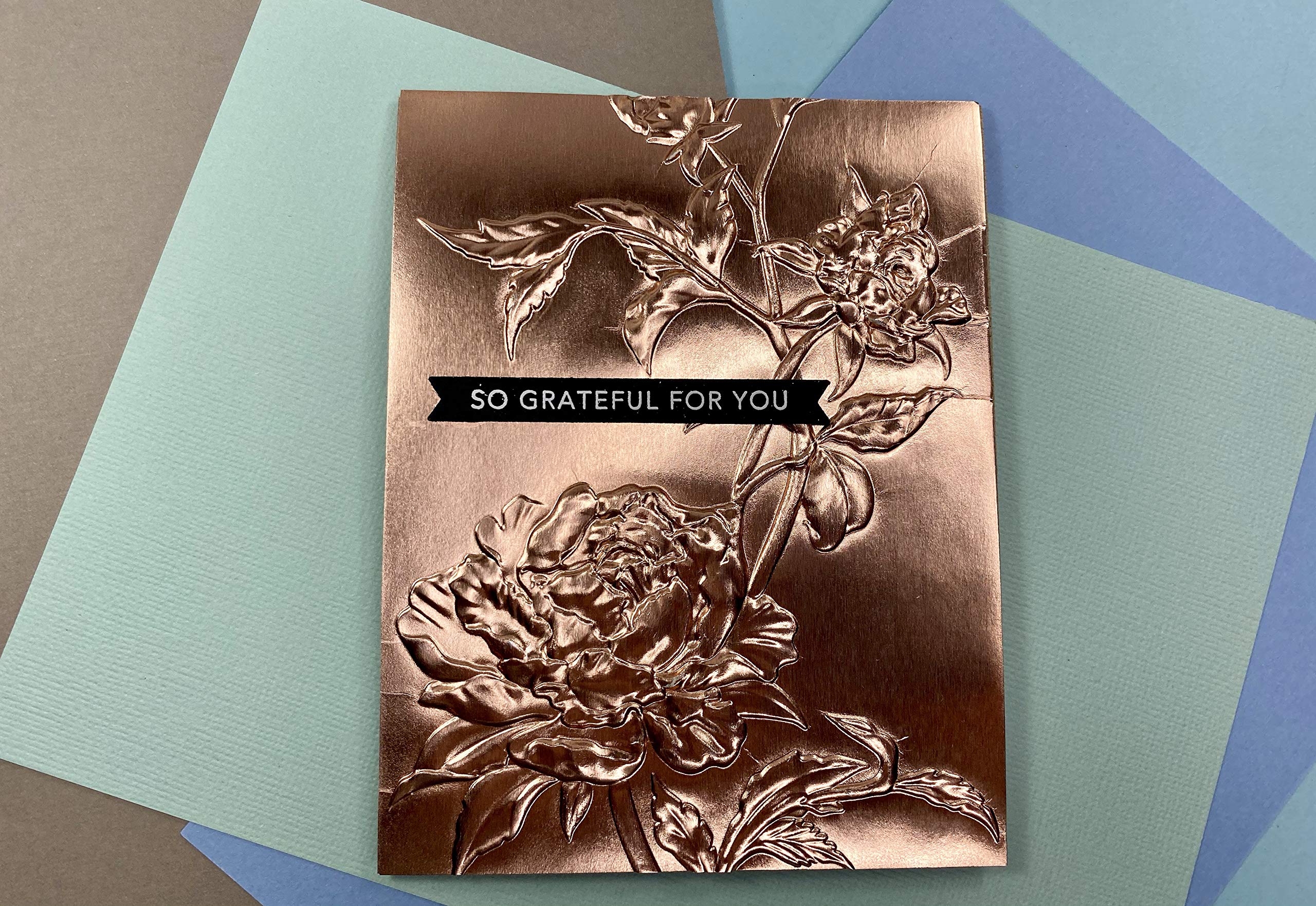 Amazon.co.jp: Sizzix エンボスフォルダー ローズ / 3-D Texture Fades