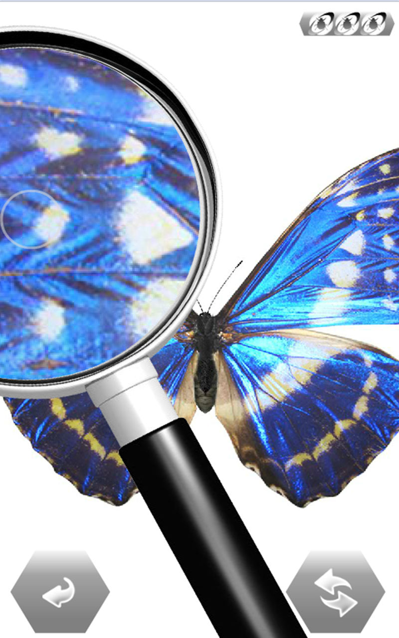 世界の昆虫採集 ライト版-Amazonアプリストアのアプリ