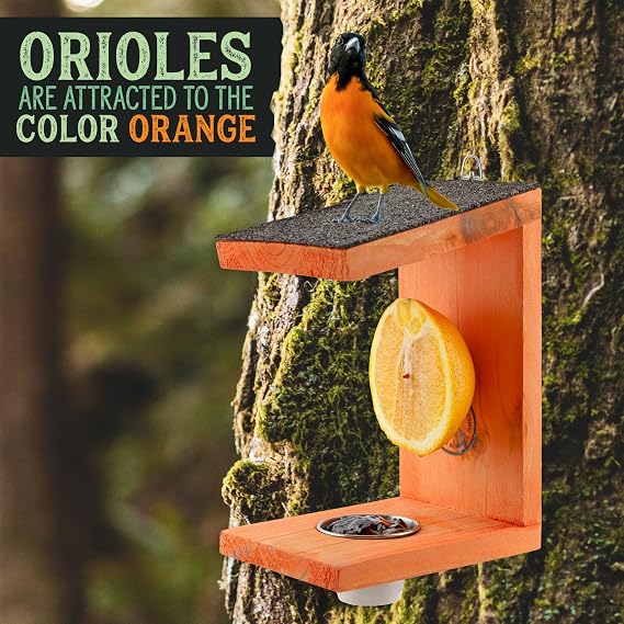 Uncle Dunkels Oriole Bird Feeder, 2-Way Feeder for Jelly and Oranges, Handmade in Kentucky
