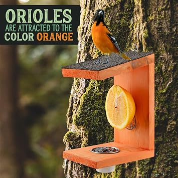 Uncle Dunkels Oriole Bird Feeder, 2-Way Feeder for Jelly and Oranges, Handmade in Kentucky