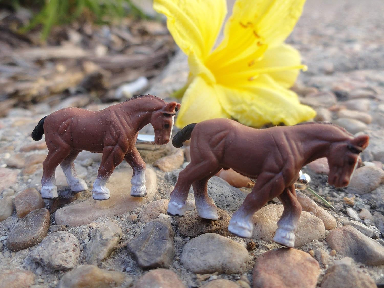 Horse Cufflinks, Lapel Pins, Tie Bars, Earrings, Jewelry and Accessories