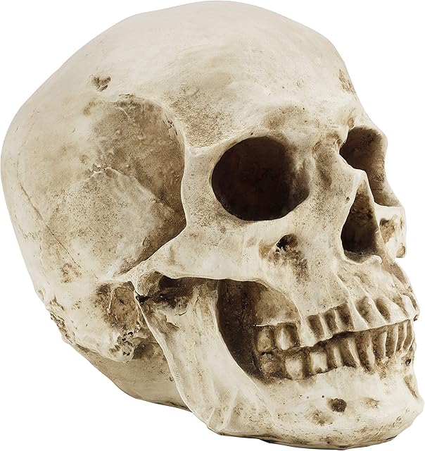 Kurtzy Human Skull Model - L12 x W17 x H14.5cm / 4.72 x 6.70 x 5.71 Inches - Realistic Resin Bone Medical Skeleton - Replica Life-Size Head for Anatomical Medical Teaching & Halloween Party Decoration